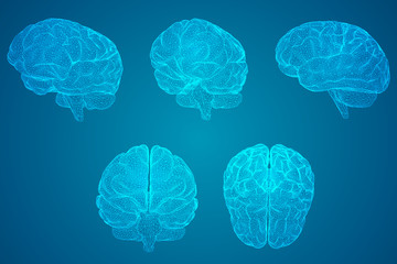 为什么韩国车都是国产车