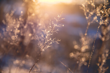 房产税与房地产税：一字之“遥”